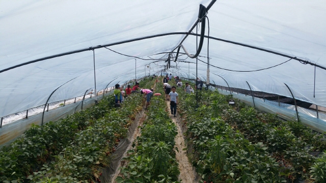 변환KakaoTalk_20160509_132028903.jpg