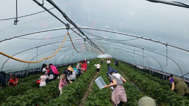 변환KakaoTalk_20160509_132032025.jpg